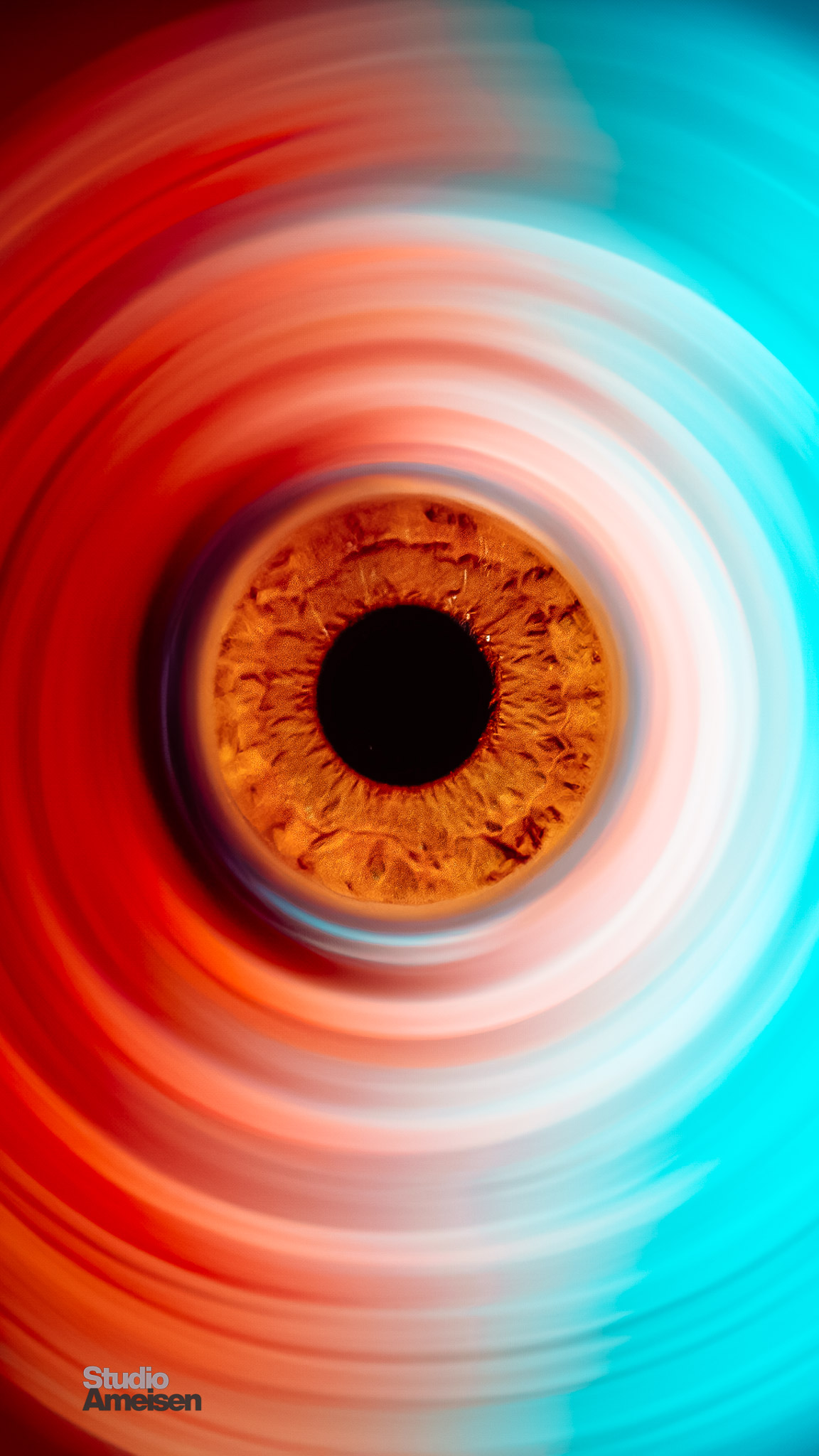 Artistique 01 - Studio Ameisen