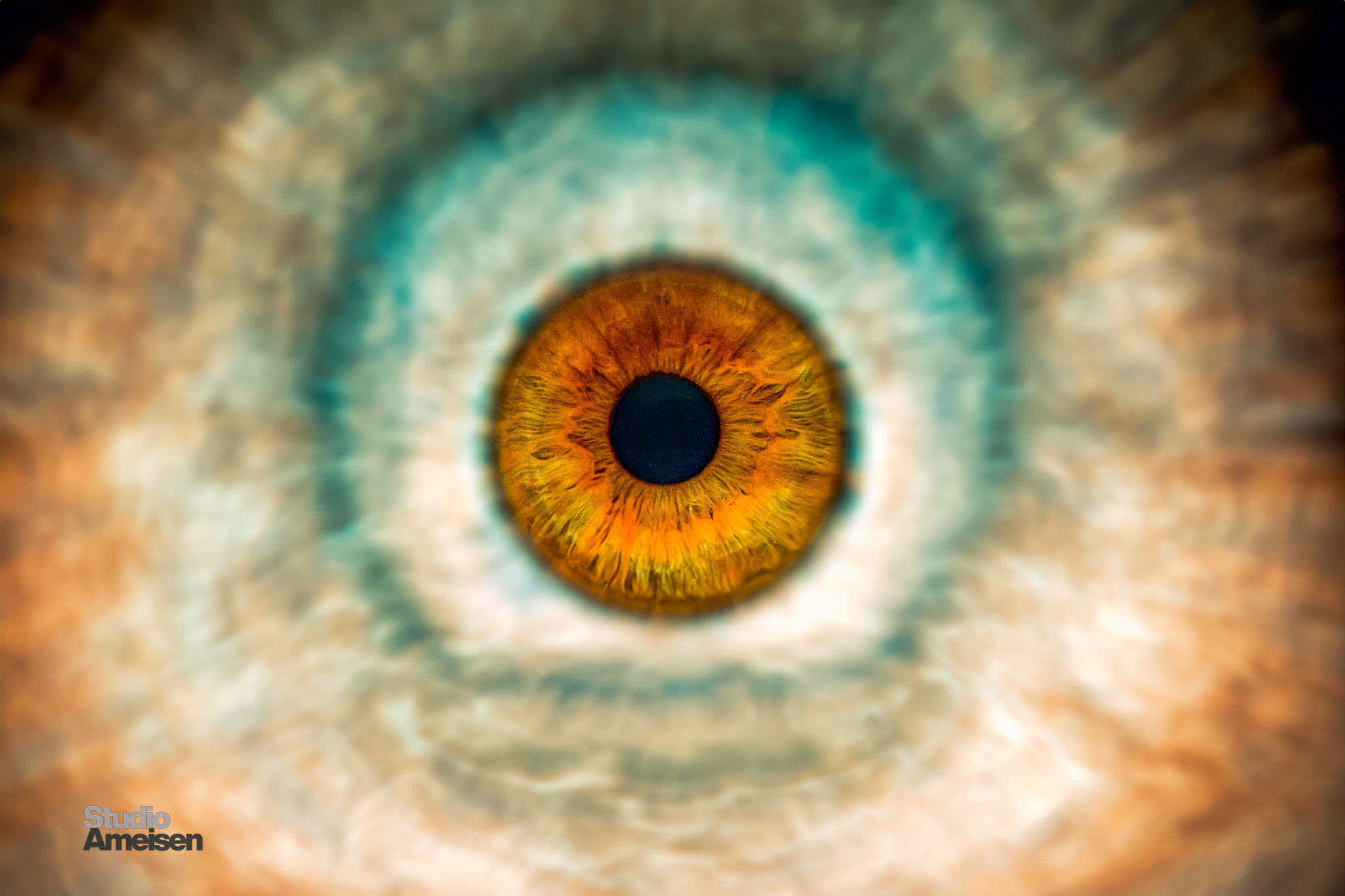 Artistique 02 - Studio Ameisen