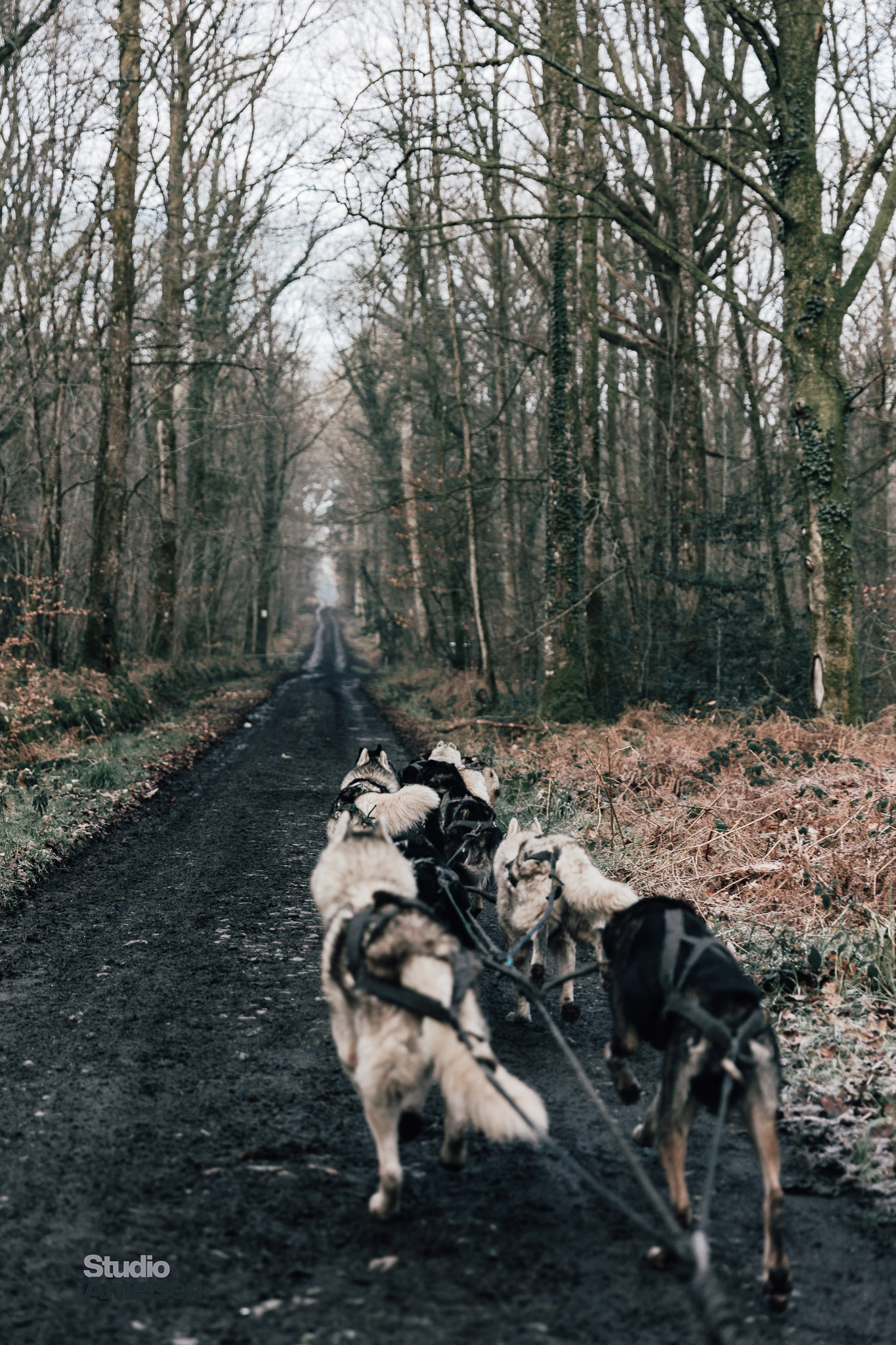 Evenementiel 01 - Studio Ameisen