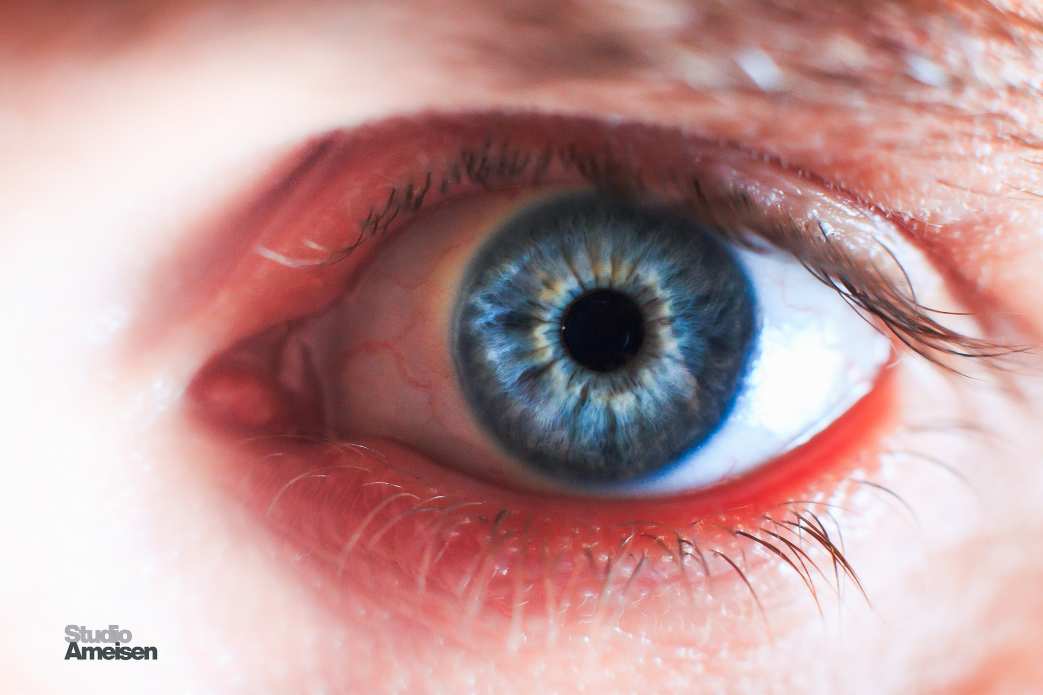 Portrait 01 - Studio Ameisen