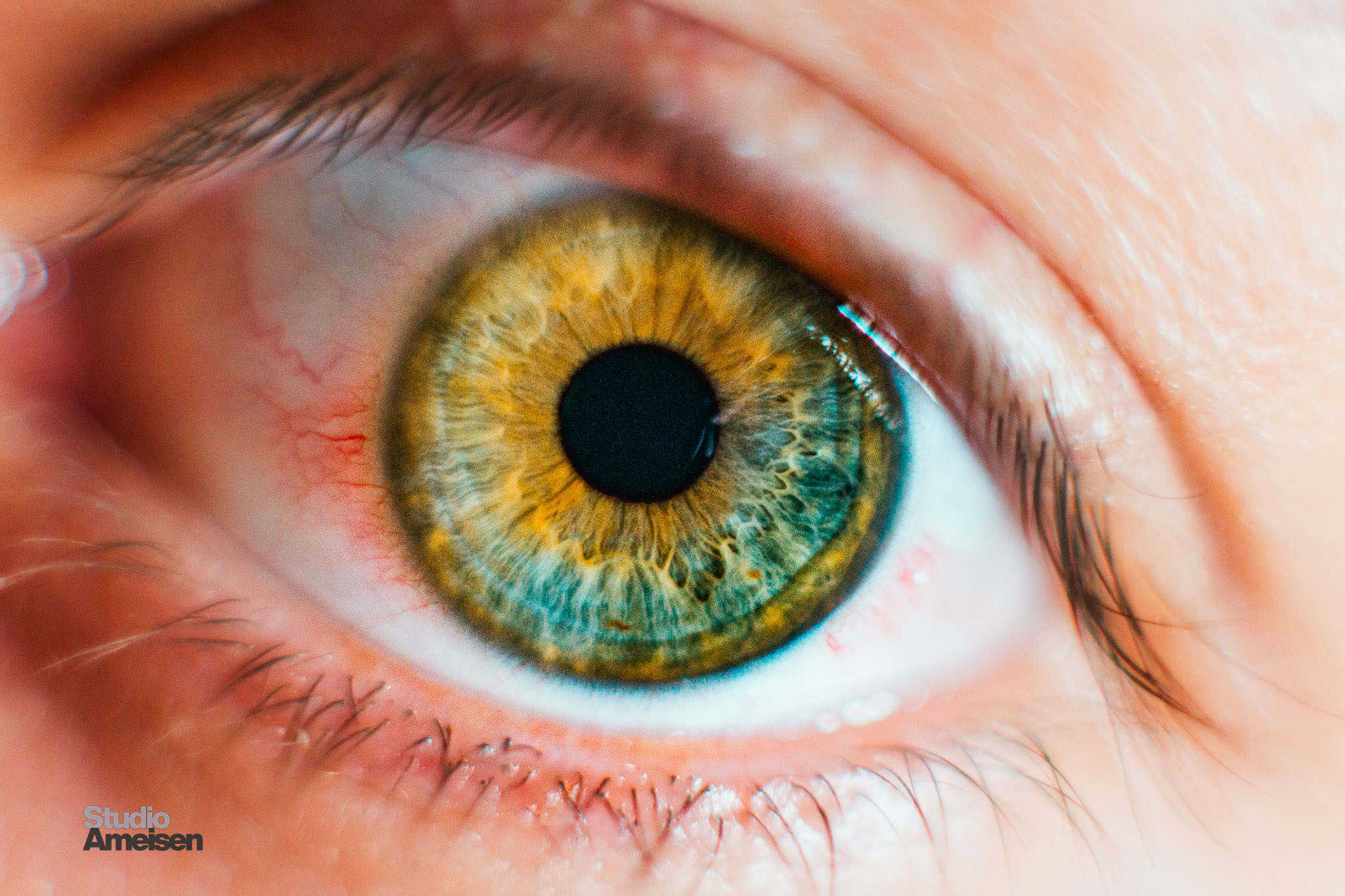 Portrait 02 - Studio Ameisen